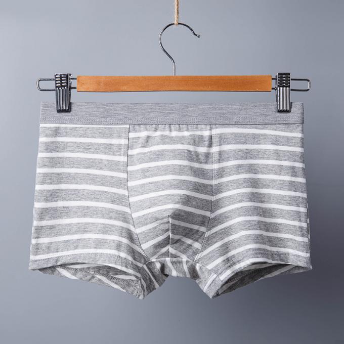 XXXL 165kg 95kgの綿の人の下着のセクシーで純粋な綿の報告書の大人はスポーツを縞で飾る 5